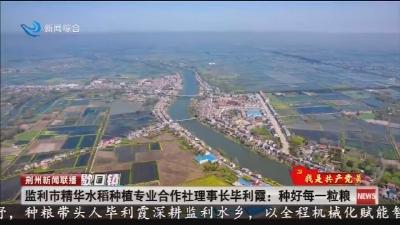监利市精华水稻种植专业合作社理事长毕利霞:种好每一粒粮