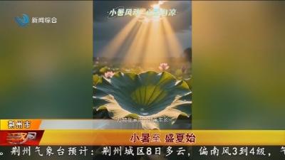 小暑至   盛夏始