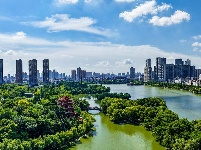 盛夏绿意浓 沙市中山公园变身“纳凉绿洲”