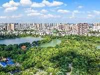 盛夏绿意浓 沙市中山公园变身“纳凉绿洲”