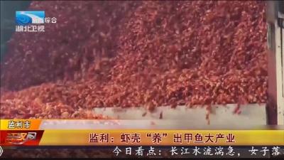 监利:虾壳“养”出甲鱼大产业