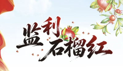长篇报告文学《监利石榴红》第五部分“求学记”