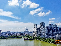 盛夏绿意浓 沙市中山公园变身“纳凉绿洲”