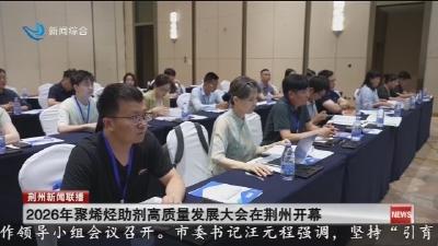 2026年聚烯烃助剂高质量发展大会在荆州开幕