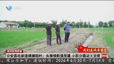 公安县毛家港镇塘咀村 :  头雁领航强党建  小积分撬动大治理