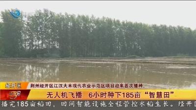无人机飞播 6小时种下185亩“智慧田”