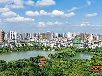 盛夏绿意浓 沙市中山公园变身“纳凉绿洲”