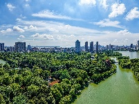 盛夏绿意浓 沙市中山公园变身“纳凉绿洲”