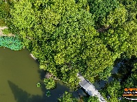 盛夏绿意浓 沙市中山公园变身“纳凉绿洲”