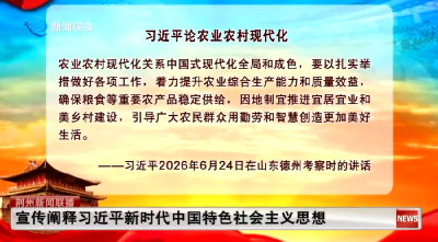 习近平论农业农村现代化