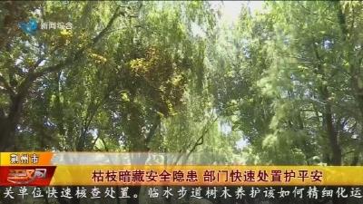 枯枝暗藏安全隐患 部门快速处置护平安