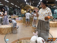 荆州：夏夜纳凉带火商圈消费