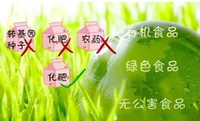 石首市要求用无公害绿色有机蔬菜丰富市民菜篮子  