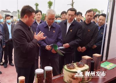何光中：形成强大合力，确保脱贫攻坚圆满收官