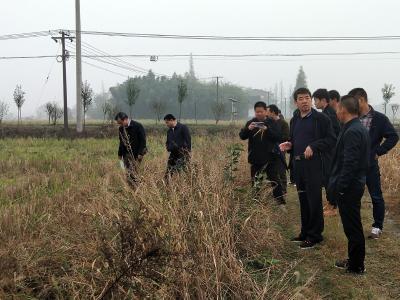 ​农业农村部耕地质量监测保护中心领导调研我市鸭蛙香稻绿色发展情况