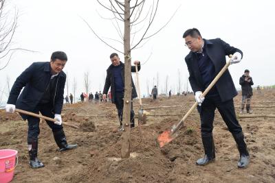 ​栽下“希望”树 建设玉石首！石必成王敏等市领导参加义务植树活动