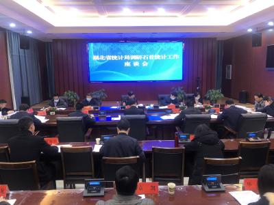 省统计局领导调研指导我市统计工作