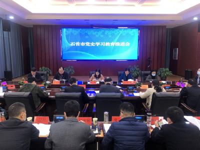 我市召开党史学习教育推进会