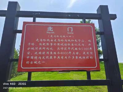 打造走马岭古城稻田景观   构建绿色旅游打卡地