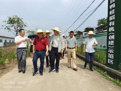 全省水稻全产业链绿色发展研讨会在我市召开