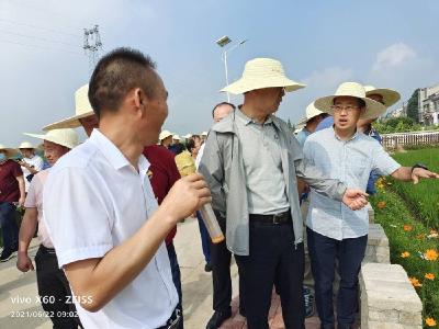 中科院院士张启发高度评价我市“鸭蛙稻”绿色综合防控模式