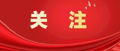 我市部署运用“乡村振兴和民生领域政策落实监察系统”开展监督检查工作