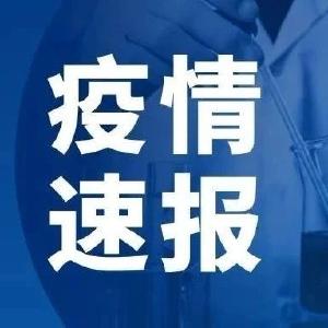 本土新增24例