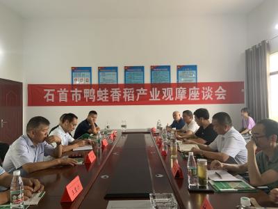 我市召开鸭蛙香稻现场观摩暨产业发展座谈会