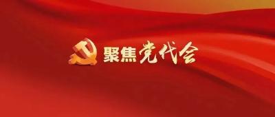 中国共产党荆州市第六次代表大会关于中共荆州市第五届纪律检查委员会工作报告的决议