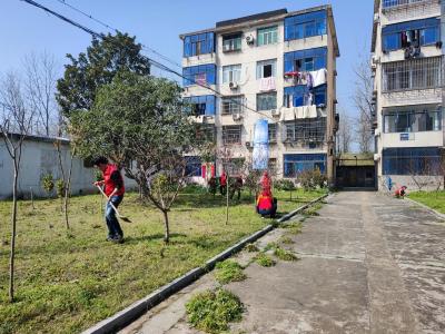 市原种场组织机关党员干部对机关小区开展人居环境整治行动