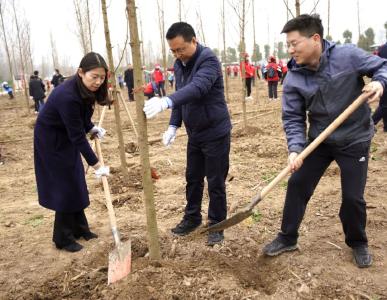 王敏等市领导参加中心城区2022年集中义务植树活动