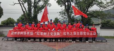 荆州市科协系统在我市桃花山镇开展“红军树上党旗飘”红色之旅主题党日活动