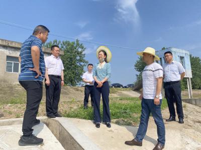 白卉到团山寺镇调研防汛备汛、“两委”换届“回头看”等工作