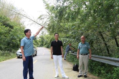 市森林病虫防治检疫站开展竹蝗防治药效试验