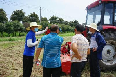 肖生娥带领市政数局帮扶专班深入小河开展企业十问十帮活动