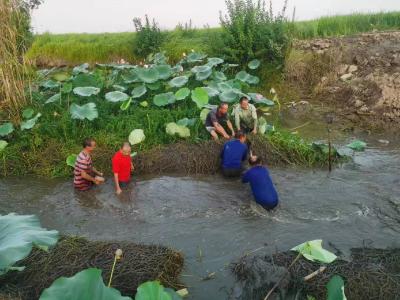 东升镇：同心协力抗大旱  干群齐心保收成