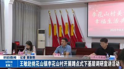 王敏赴桃花山镇李花山村开展蹲点式下基层调研宣讲活动