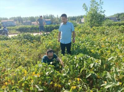 市农业农村局：持续深入生产一线 科学指导农作物抗旱