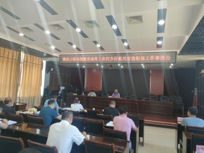 桃花山镇组织召开巩固脱贫成果同乡村振兴有效衔接暨近期重点工作推进会