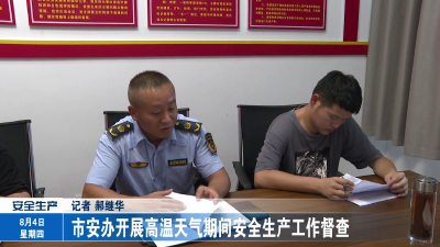 市安办开展高温天气期间安全生产工作督查