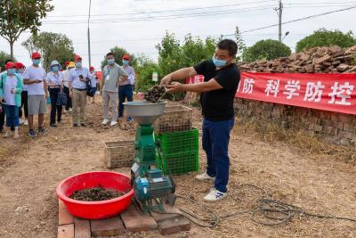 人捡、药治、鸭食 石首合力打响福寿螺“剿灭战”