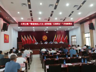 小河口镇召开“喜迎党的二十大 共同缔造‘三清四化’”行动部署会