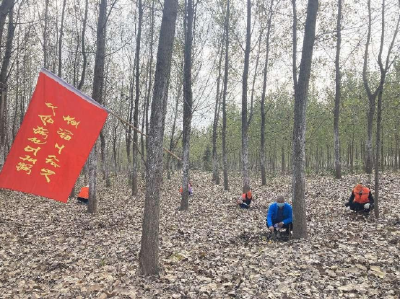 荆州市血吸虫病消除达标评估验收专家组对久合垸乡血吸虫病消除达标工作进行考核