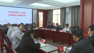 我市召开学习贯彻党的二十大精神 共谋电商产业发展座谈会