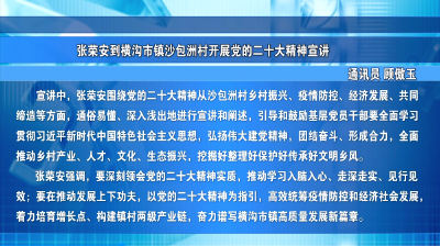 张荣安到横沟市镇沙包洲村开展党的二十大精神宣讲