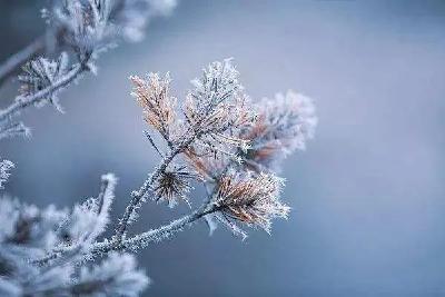湖北这些地方雨雪又要来了！