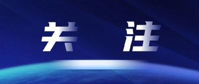 荆州市委网信办发布“清朗·从严整治‘自媒体’乱象”专项行动典型案例