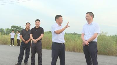 荆州市副市长李敢调研我市中省环保督察反馈问题整改工作         