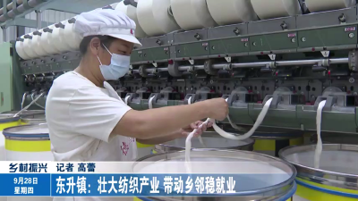 东升镇:壮大纺织产业 带动乡邻稳就业