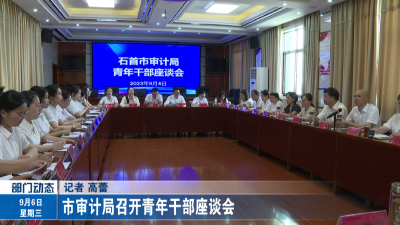 市审计局召开青年干部座谈会